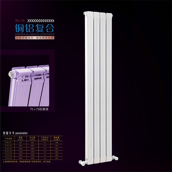 北京紫荊花暖氣片